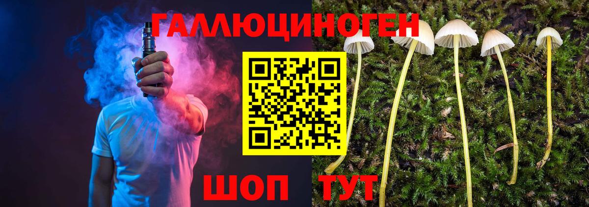 Галлюциногенные грибы Psilocybe  Псилоцибиновые грибы Magic Shrooms  продажа наркотиков  Вход с VPN  Ханты-Мансийск 